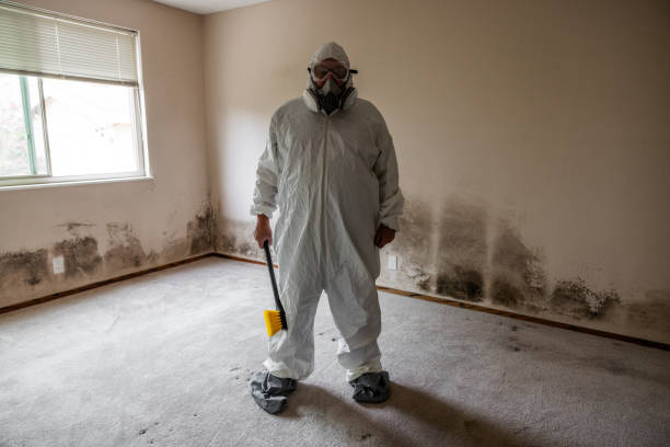 Mold Removal for HVAC Installations in Richmond, MN